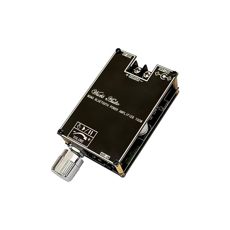 Modulo Amplificatore Audio Blu - Home Cinema Accessories recensione e prezzo