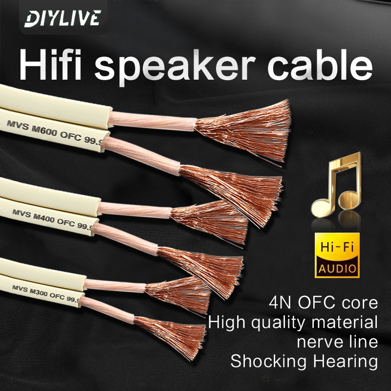 Cavo Audio HIFI DIYLIVE per Ho - Home Cinema Xlr recensione e prezzo