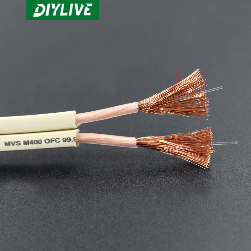 Cavo Audio HIFI DIYLIVE per Ho - Home Cinema Xlr recensione e prezzo
