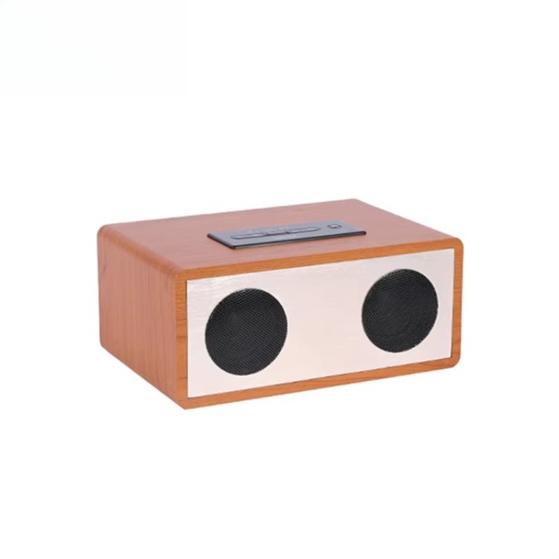 Altoparlante Karaoke con Logo  - Home Cinema Xlr recensione e prezzo